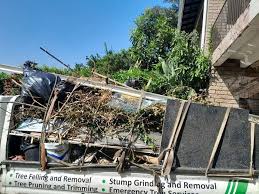 Best Office Cleanout  in Dover, DE
