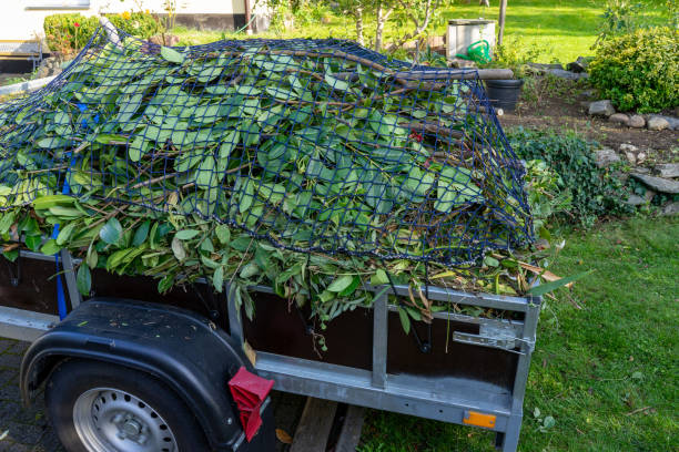 Best Commercial Junk Removal  in Dover, DE